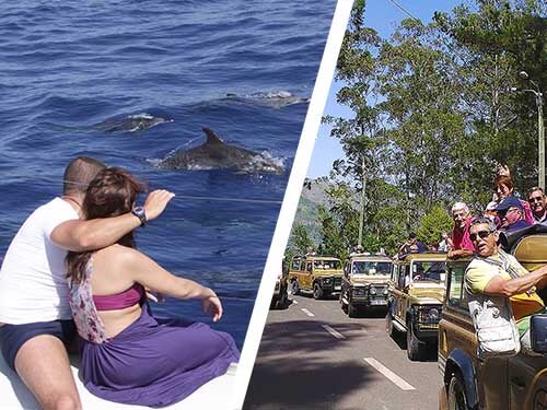 Skywalk, Cliff & Valleys + Dolphin Watching